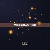 生肖属兔的人今日运势，2015年属兔的运势，今年属兔的运势