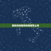 属蛇的和属狗的婚姻怎么样，属狗配什么属相最好