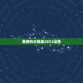 属猪的水瓶座2022运势，属猪水瓶座z015年运势