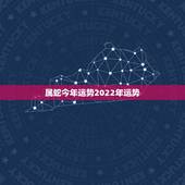 属蛇今年运势2022年运势，生肖鸡未来3年的运势