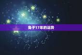 兔子17年的运势，属兔的人2017年运程大全及破解