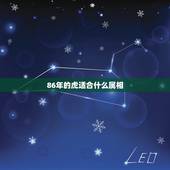 86年的虎适合什么属相