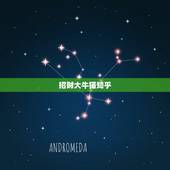 招财大牛猫知乎，比较好的微信公众号有哪些？最好是财经类的