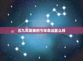 五九年属猪的今年命运怎么样，属猪1959年出生的男人