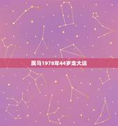 属马1978年44岁走大运，属马1978年43走大运