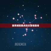 猪男婚配属虎的女属相查询，属虎和属猪的相配吗