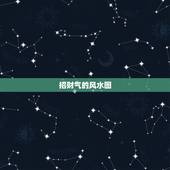 招财气的风水图，请风水大师指点，帮我摆个招财的风水局，已传了房屋结构图