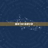 属羊1991年多少岁，2022 年91年今年多大