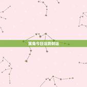 属兔今日运势财运，属兔今日财运