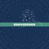 属鼠鼠年运势吉凶颜色，属鼠的什么颜色最旺