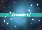 属猴和属猴婚配好不好，属猴和属猪婚配好吗？
