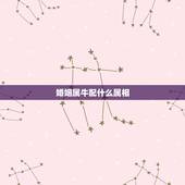 婚姻属牛配什么属相，1985年属牛的2022 年感情
