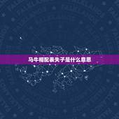 马牛相配表失子是什么意思，马牛相配表失子是什么意思？