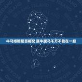 牛马婚姻是否相配 属牛属马千万不能在一起