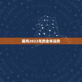 属鸡2022年的全年运势，属鸡的11月份运势如何2022