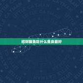 招财猫鱼吃什么鱼食最好，招财鱼喂什么饲料好