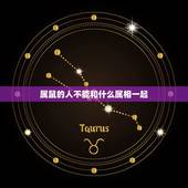 属鼠的人不能和什么属相一起，属鼠的人不能和什么人在