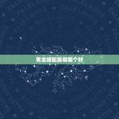 男龙婚配属相哪个好，属龙男和什么属相最配