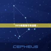 1975年属兔今年运程，1975年属兔2021年运势及运程