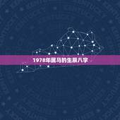 1978年属马的生辰八字，1978年属马，女，请问我生辰八字及近期运势
