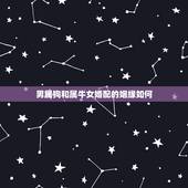 男属狗和属牛女婚配的姻缘如何，1994年男性属狗与1997年女性属牛婚