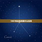 1997年出生的属什么生肖，1997年五行属什么命