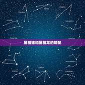 属相猪和属相龙的婚配，属猪与属龙相配吗