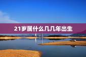 21岁属什么几几年出生，21岁生肖属啥的。是在哪年出生的谢谢