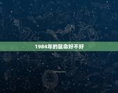 1984年的鼠命好不好，1984年属鼠人是什么命