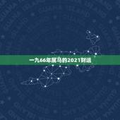 一九66年属马的2021财运，66年女属马人2021年运势