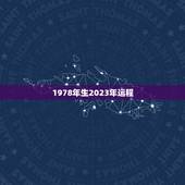 1978年生2023年运程，1978年11月9日在2023年的运势如何