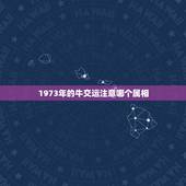 1973年的牛交运注意哪个属相，1973年生的人大寒交运上午7点到9点