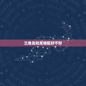 三角龙和龙婚配好不好，是霸王龙厉害，还是三角龙厉害。