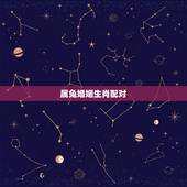 属兔婚姻生肖配对，属兔男婚姻生肖配对