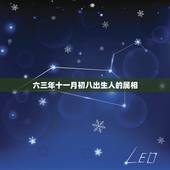 六三年十一月初八出生人的属相，六三年属兔的，农历十一月命运如何？