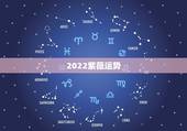 2022紫薇运势，紫薇命盘如何看未来一年和未来十年运势，请大师指点。