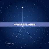 86年的虎是什么命婚配，86年属虎女与88年属龙男适合婚配吗？