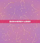 属虎的水瓶男配什么属相好，生肖属虎，水瓶座的人配带什么手饰可以旺运
