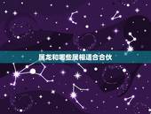 属龙和哪些属相适合合伙，属龙的今年几岁啦？