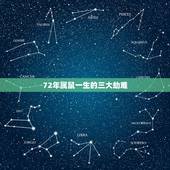 72年属鼠一生的三大劫难，72年属鼠人终身的三大坎