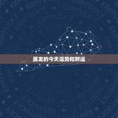 属龙的今天运势和财运，辰属龙的含义