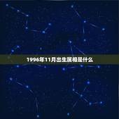 1996年11月出生属相是什么，属鼠1996年11月25日阴历出生的命