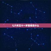 七六年五十一岁属相是什么，七六年是73岁应该是哪一年出生的属什么的到今