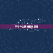 羊与什么属相相配更好，龙与什么属相相配更好
