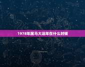 1978年属马大运年在什么时候，属马1978年43走大运？