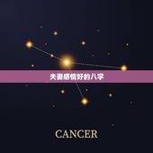 夫妻感情好的八字，夫妻八字相合有什么好处