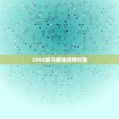 2002属马最佳结婚对象，2004年属猴跟2002年属马的适合结婚吗？