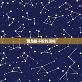 属龙最不配的属相，属龙的更佳婚配属相