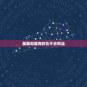 属猴和属狗的合不合财运，属猴和属狗工作合不合