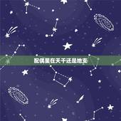配偶星在天干还是地支，妻星在天干与地支区别是？流年天干与地支，哪个对